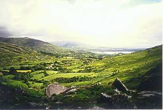 kerry1.jpg (10975 Byte)